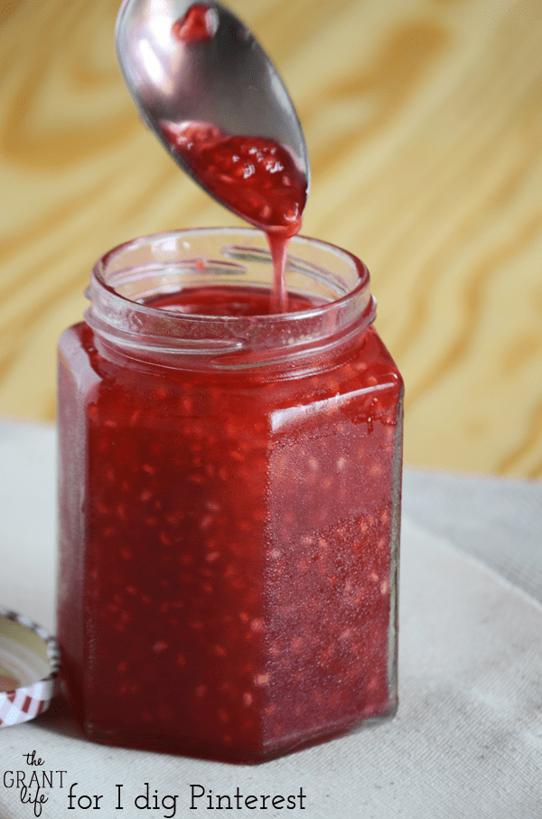Homemade raspberry sauce recipe