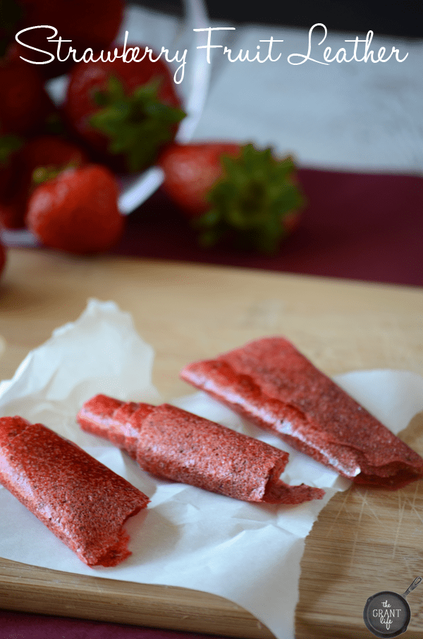 One ingredient.  Yup.  One ingredient and you have homemade fruit leather!